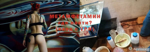 сатива Няндома