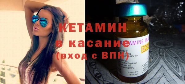 сатива Няндома