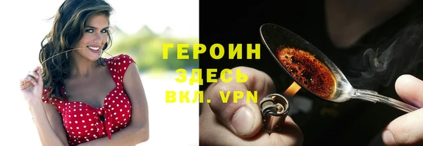 сатива Няндома