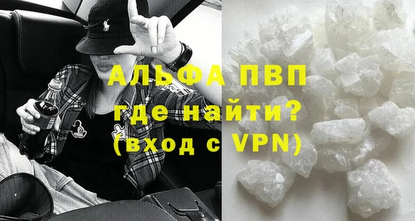 сатива Няндома