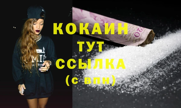 сатива Няндома