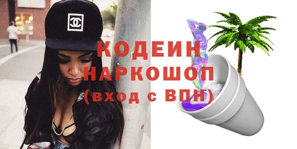 сатива Няндома