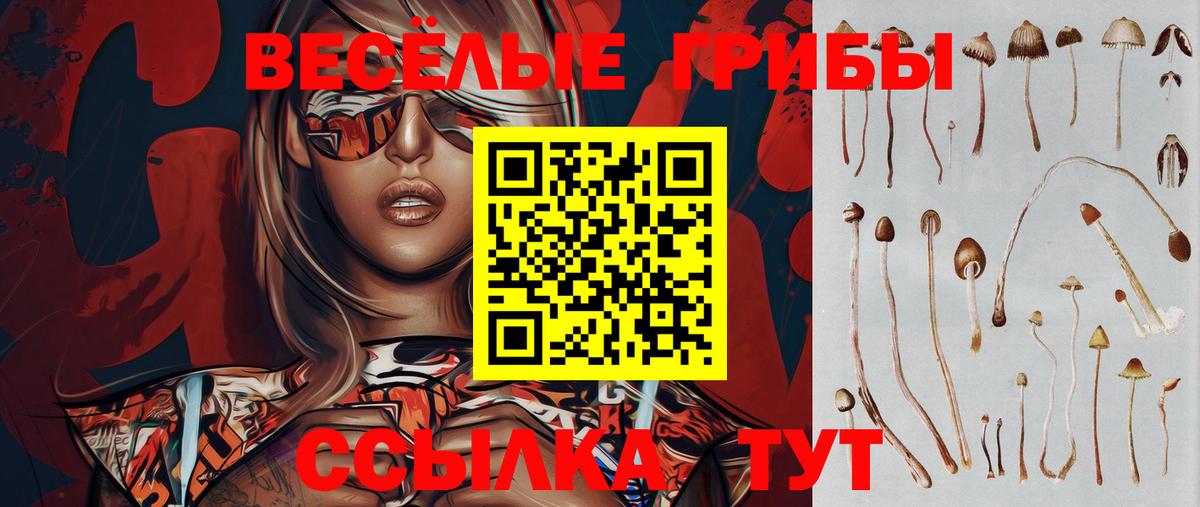 наркотики  Тобольск  Галлюциногенные грибы Psilocybe  Галлюциногенные грибы Cubensis 