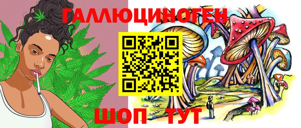 Псилоцибиновые грибы Psilocybe  Вход с VPN  Тобольск 